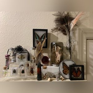 8 pc oddity blind box / taxidermy / gift box